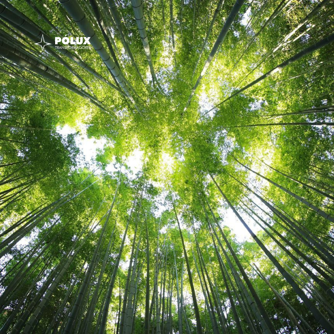Como os transformadores a seco impactam a sustentabilidade dos Data Centers